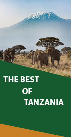 destination tanzani