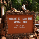 Tsavo park feature