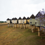 Taita Hills -saltlick