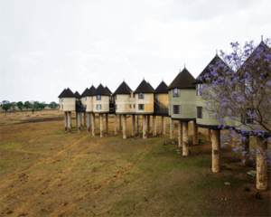 Taita Hills -saltlick